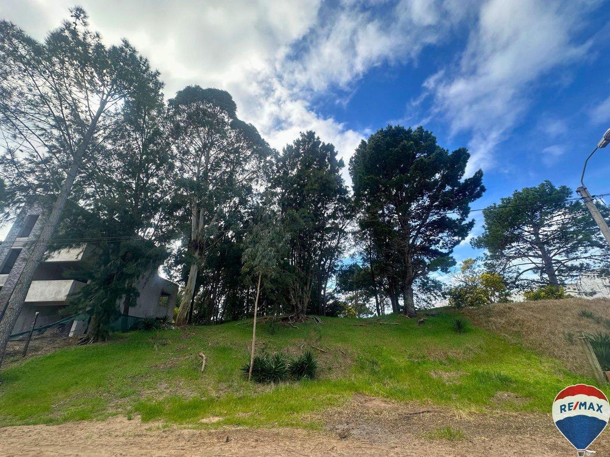 Foto de Lote en venta Villa Gesell Norte, imagen 2