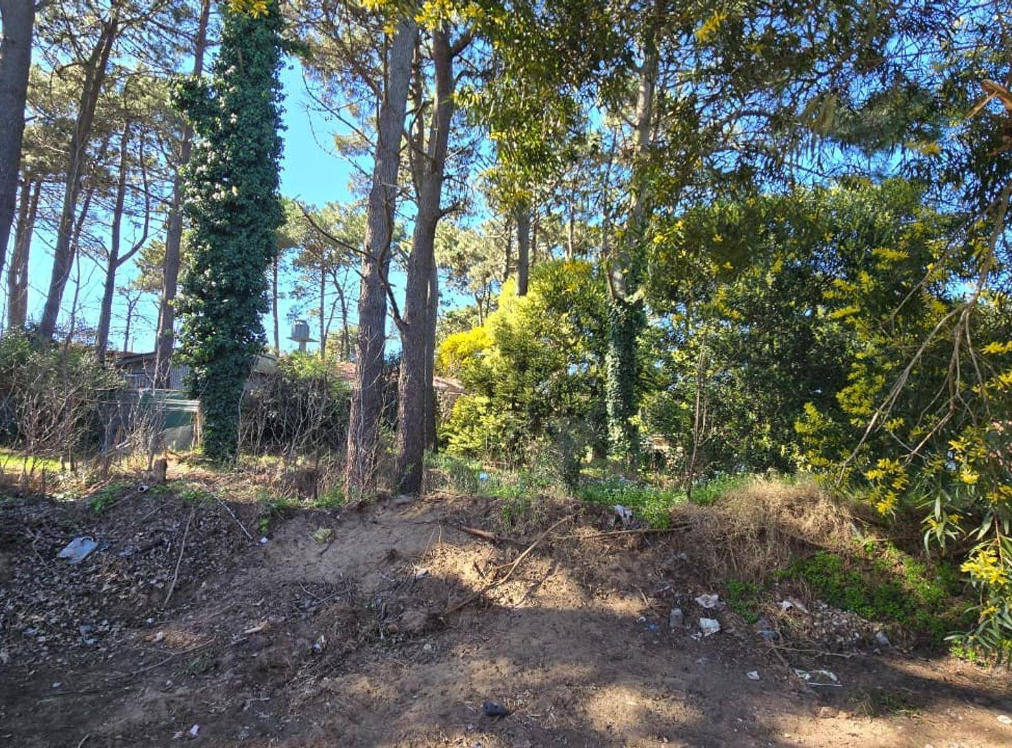 Foto de VENTA LOTE OSTENDE RESIDENCIAL UNIFAMILIAR, imagen 1