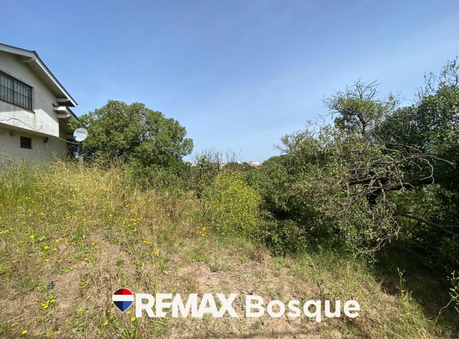 Foto de Venta Lote en Mar de Ostende 4 cuadras del mar, imagen 3