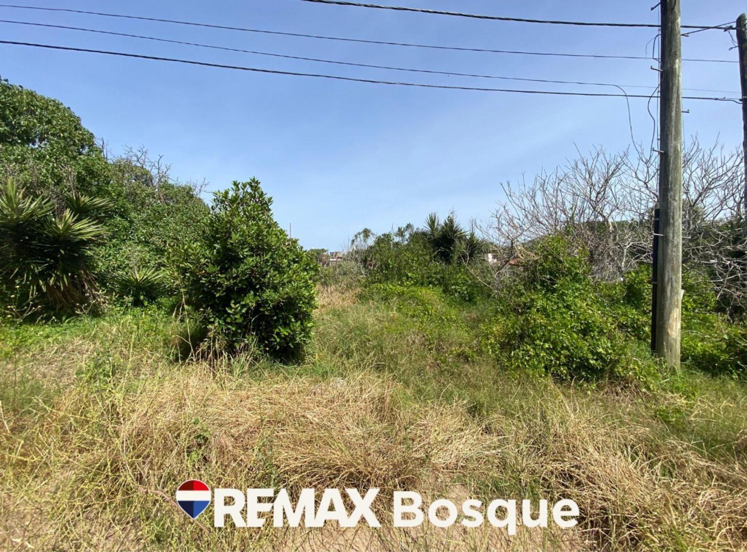 Foto de Venta Lote en Mar de Ostende 4 cuadras del mar, imagen 5