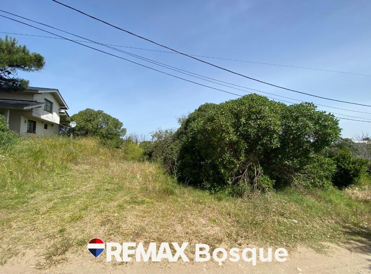 Foto de Venta Lote en Mar de Ostende 4 cuadras del mar, imagen 2