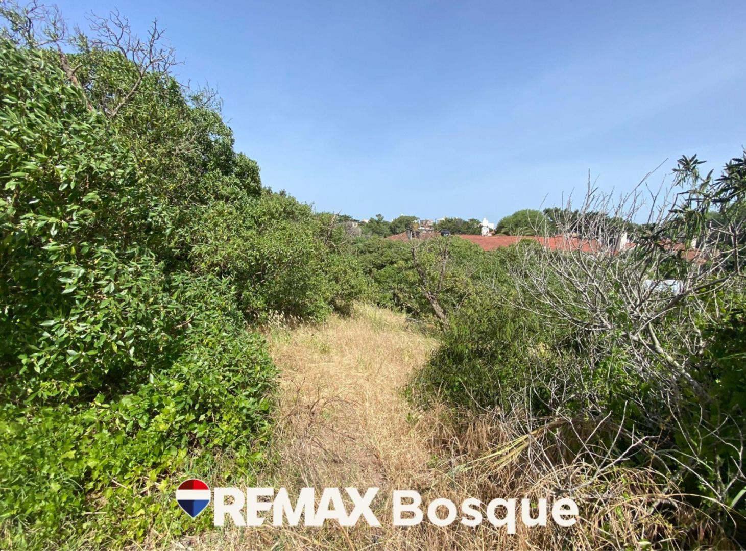Foto de Venta Lote Mar de Ostende 4 cuadras del mar, imagen 4