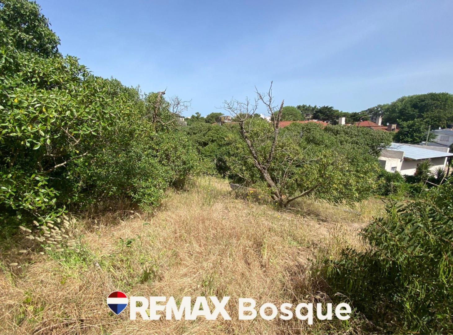 Foto de Venta Lote Mar de Ostende 4 cuadras del mar, imagen 1
