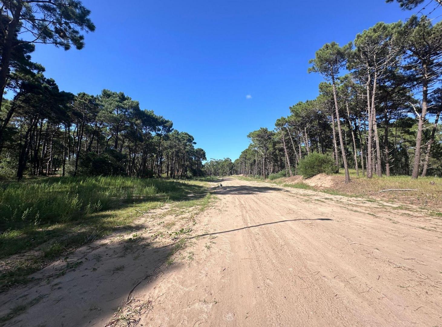 Foto de LOTE VENTA BARRIO BOSQUES PINAMAR, imagen 4