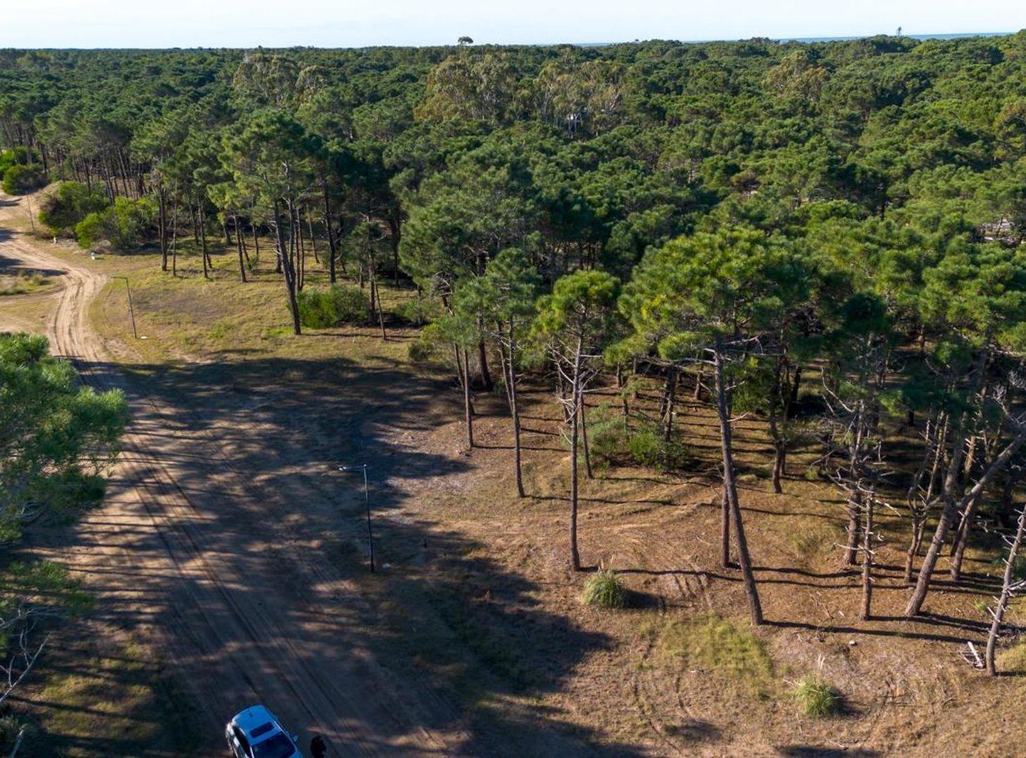 Foto de LOTE VENTA BARRIO BOSQUES PINAMAR, imagen 2