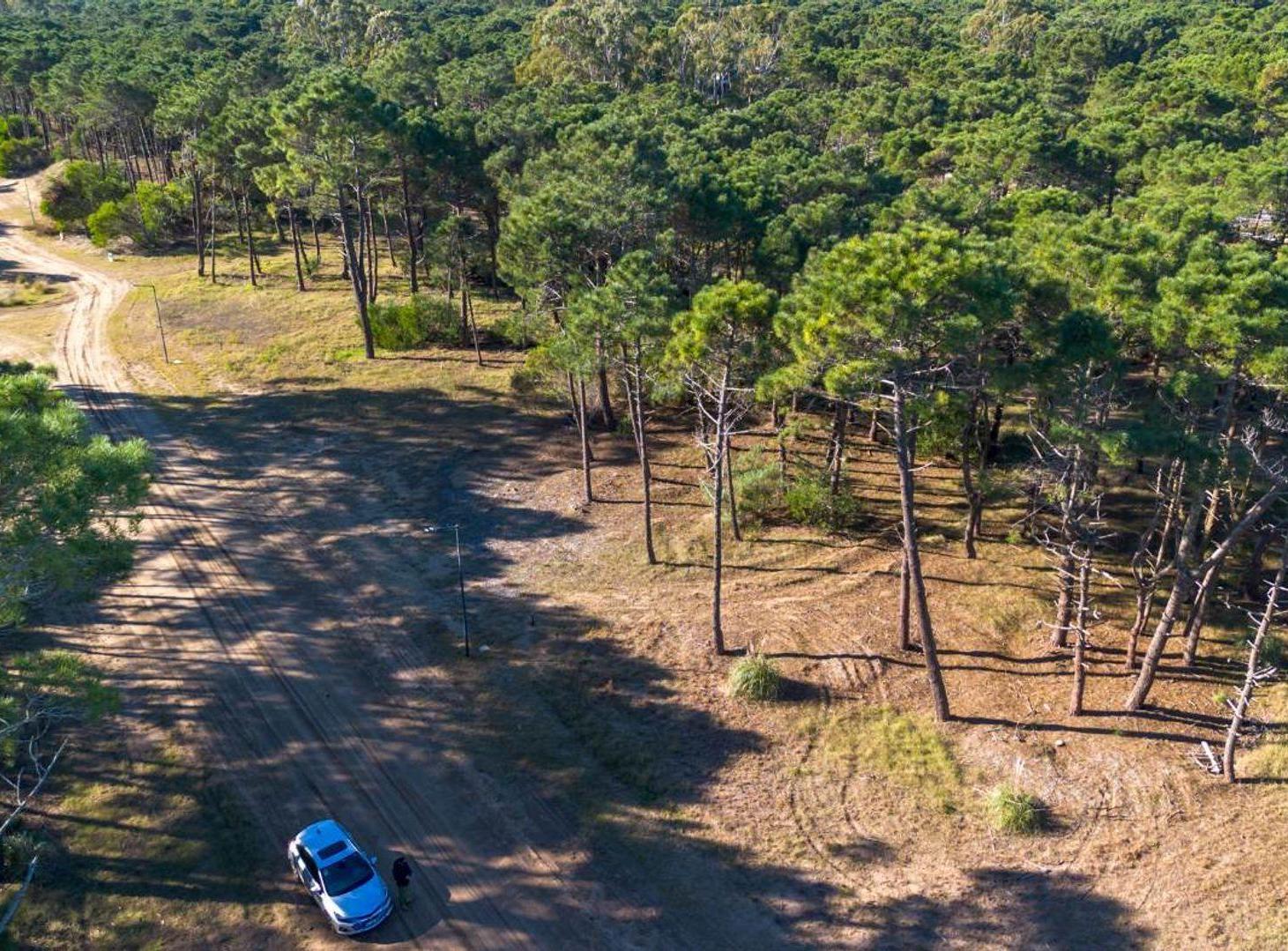 Foto de LOTE VENTA BARRIO BOSQUES PINAMAR, imagen 5