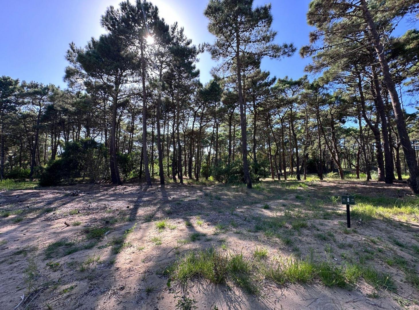 Foto de LOTE VENTA BARRIO BOSQUES PINAMAR, imagen 3