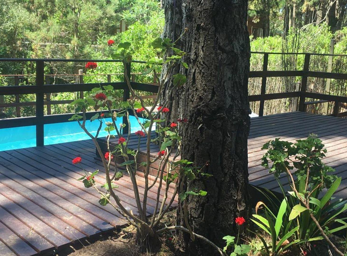 Foto de CASA EN VENTA MAR AZUL, imagen 5