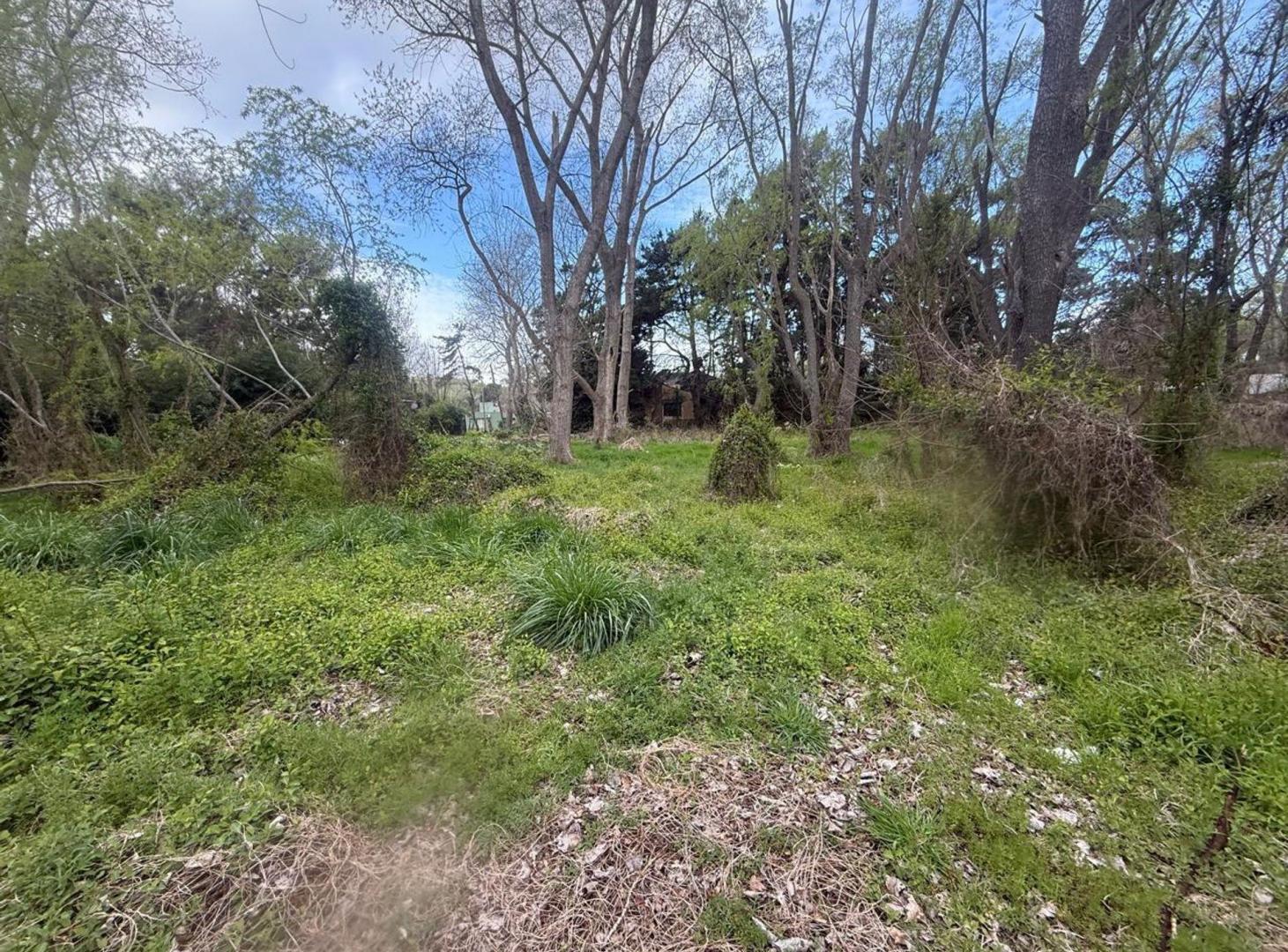 Foto de VENTA LOTE COSTA DEL ESTE 550 METROS, imagen 4