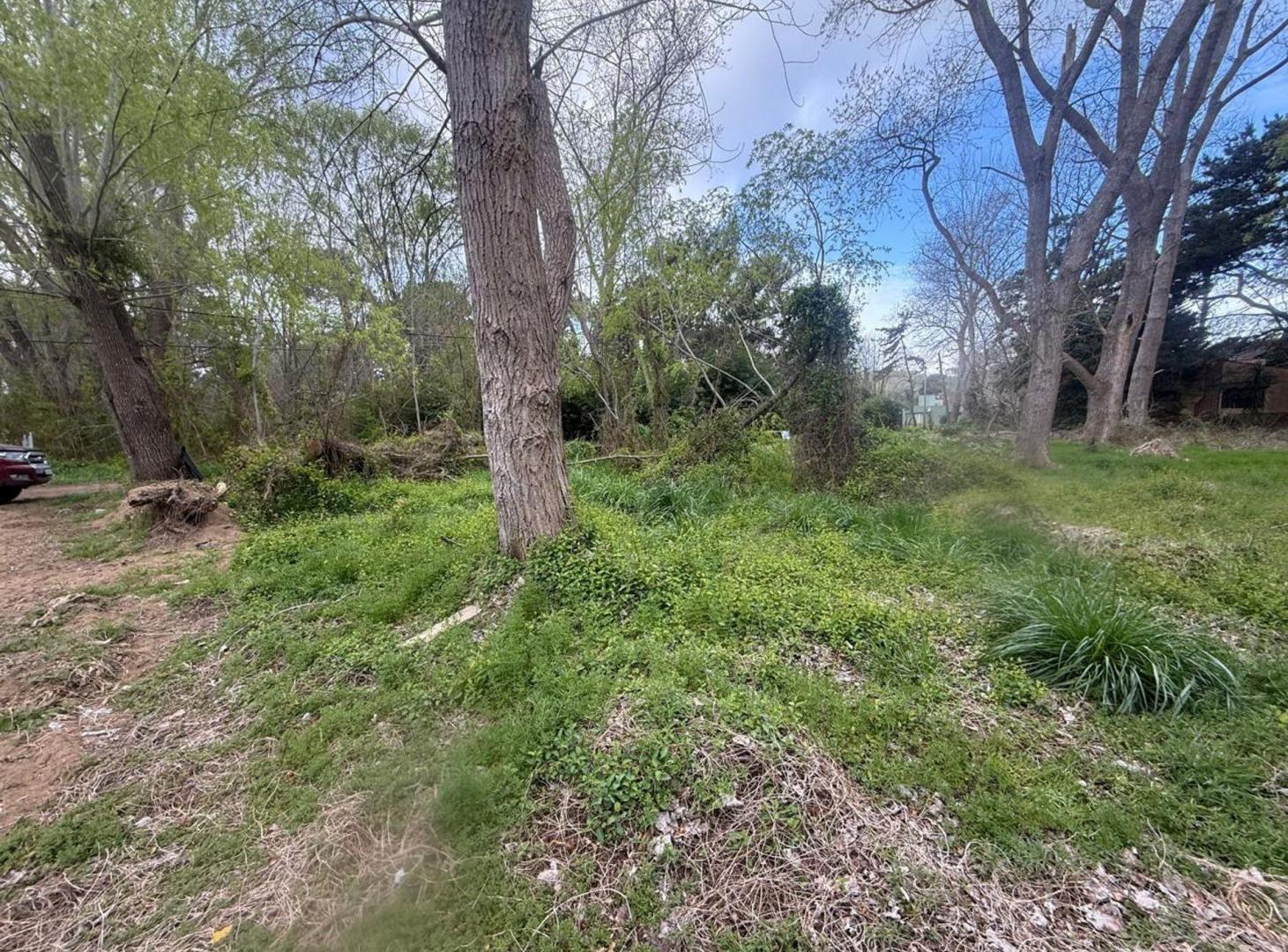 Foto de VENTA LOTE COSTA DEL ESTE 550 METROS, imagen 2