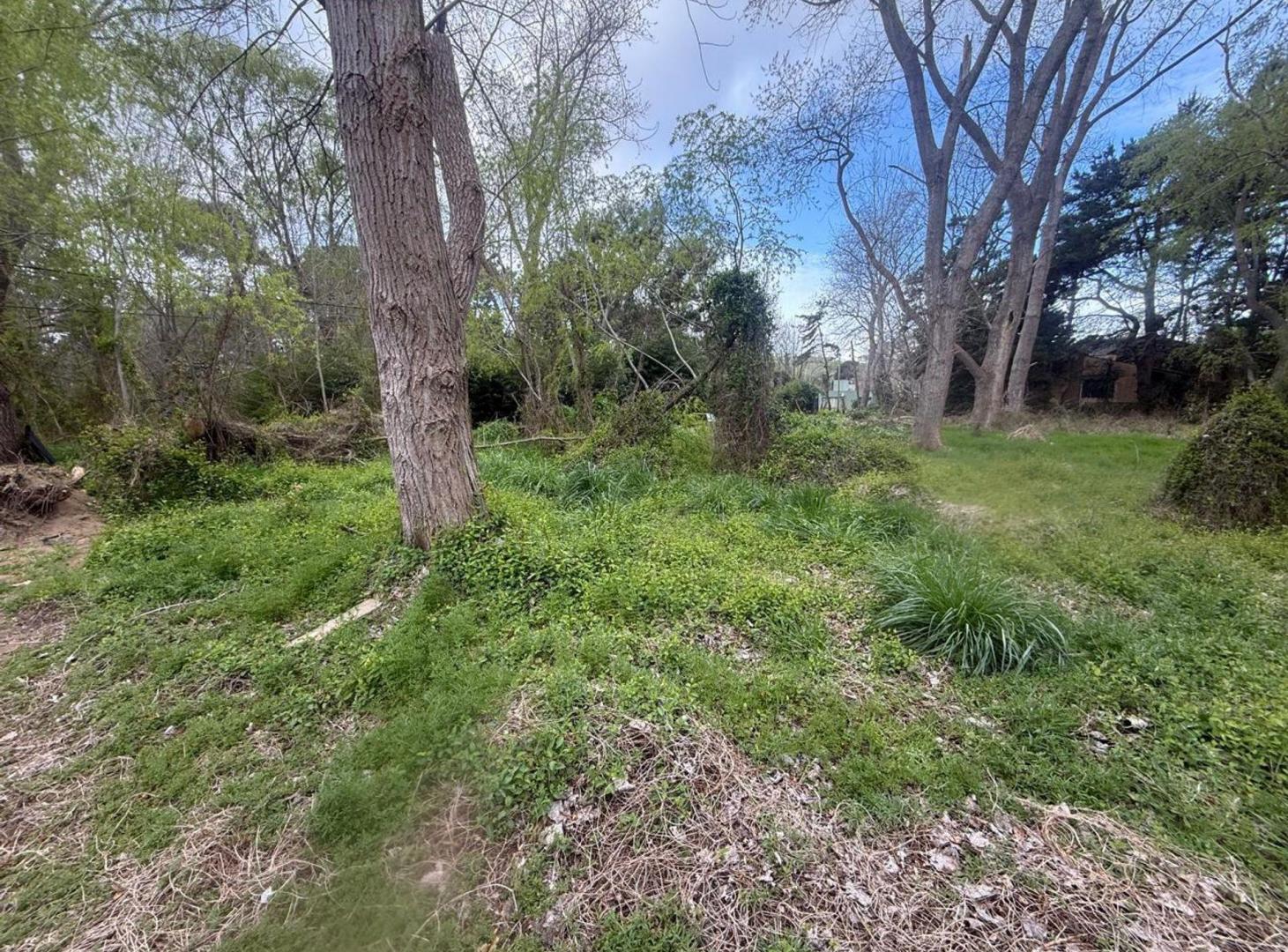 Foto de VENTA LOTE COSTA DEL ESTE 550 METROS, imagen 5