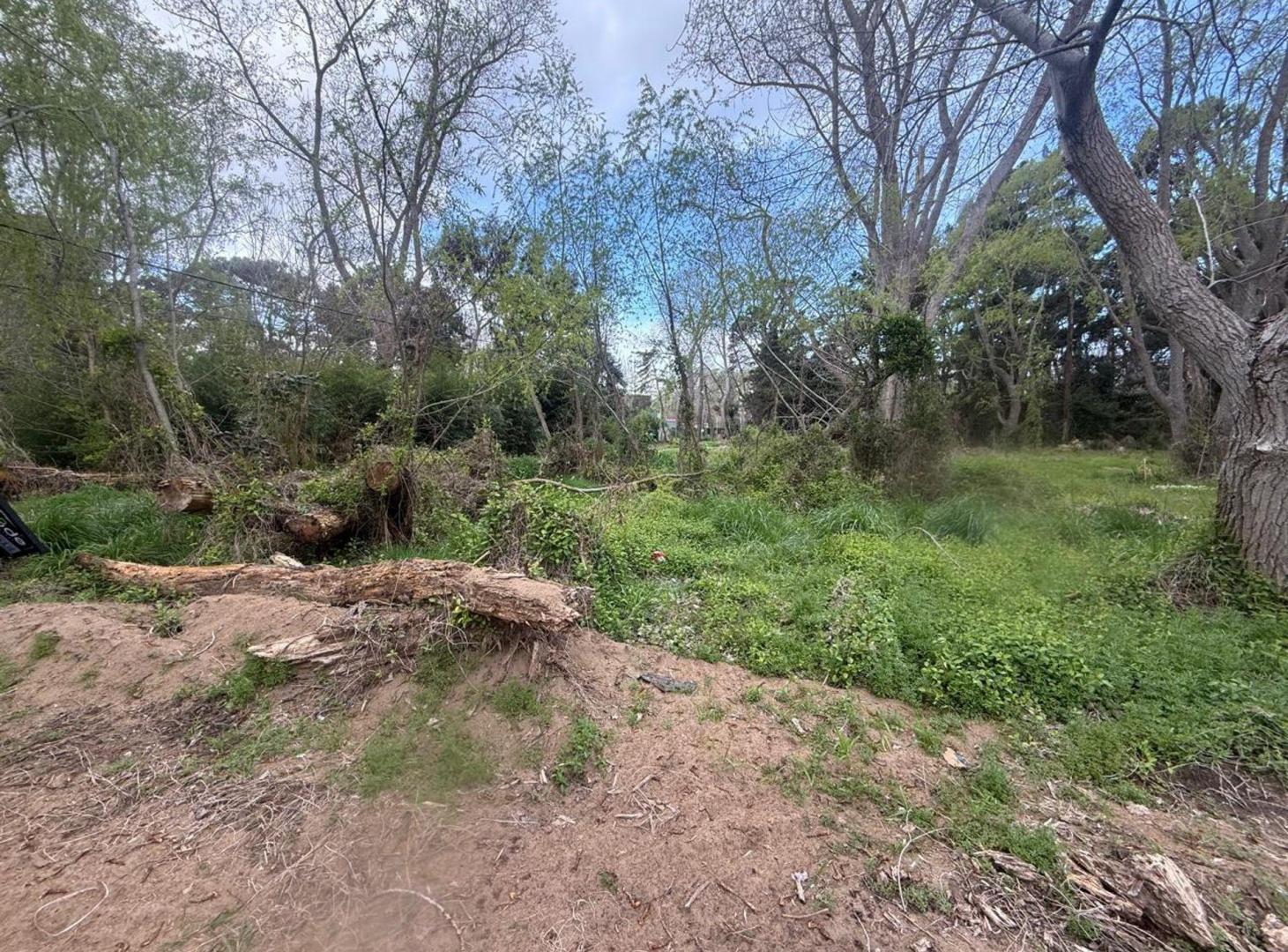 Foto de VENTA LOTE COSTA DEL ESTE 550 METROS, imagen 3