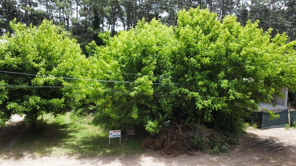 Foto de LOTE EN VENTA MAR AZUL APTO COMERCIAL ZONA CENTRO, imagen 1