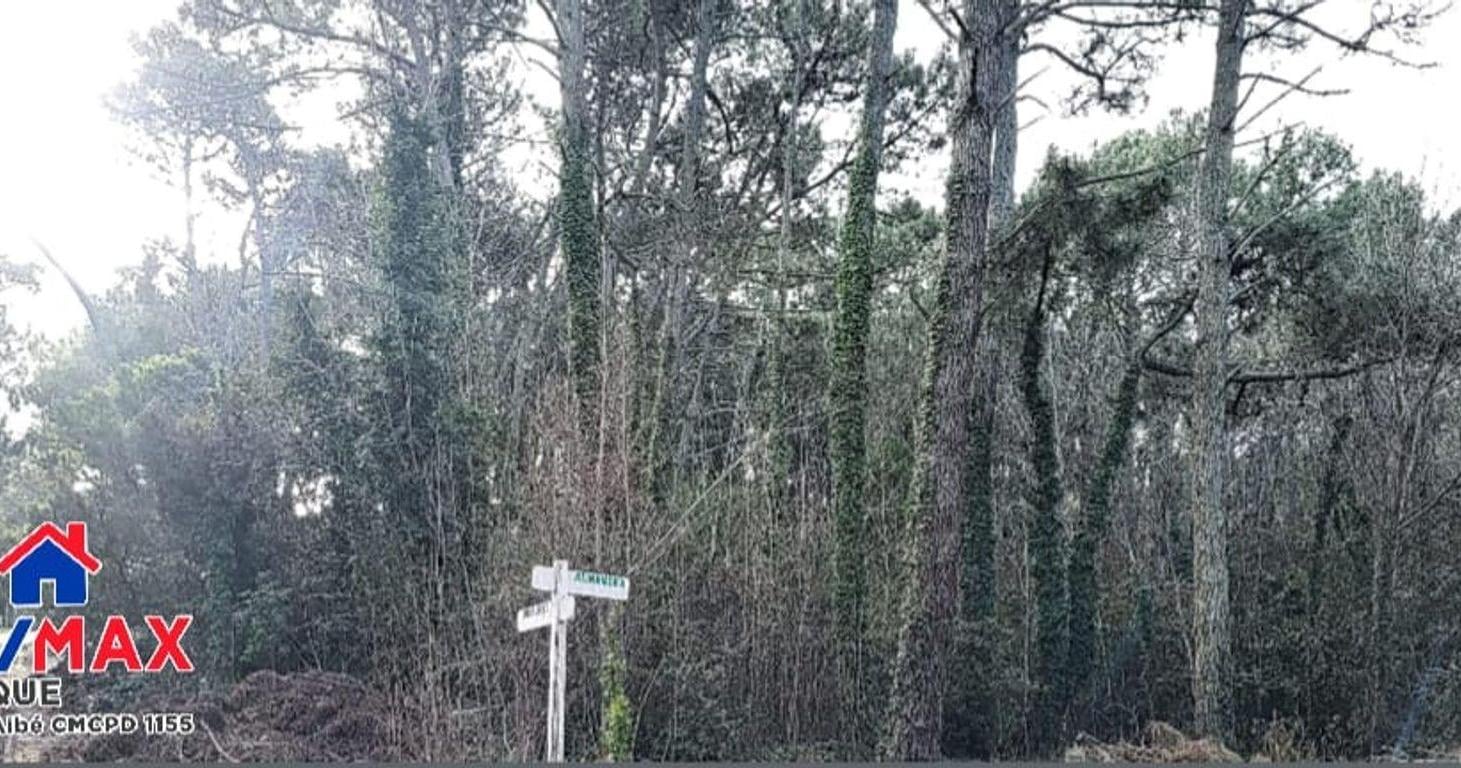 Foto de Excelente terreno en venta sobre esquina, imagen 2