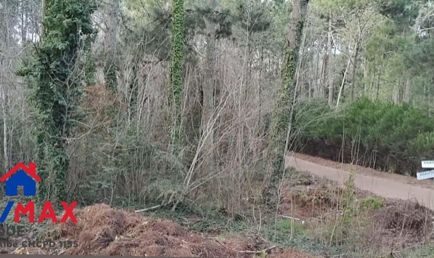 Foto de Excelente terreno en venta sobre esquina, imagen 3