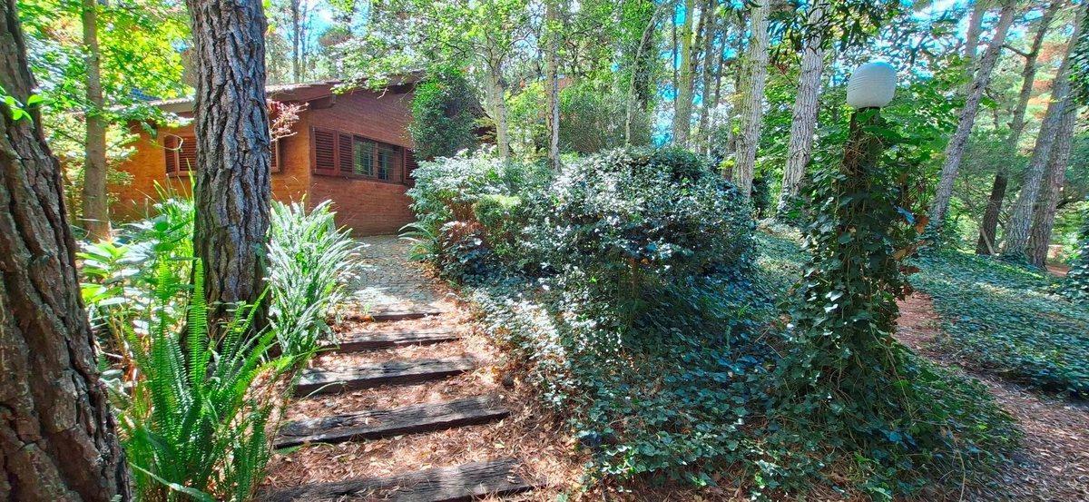 Foto de Casa a la Venta en Mar de Las Pampas Gas Natural, imagen 5