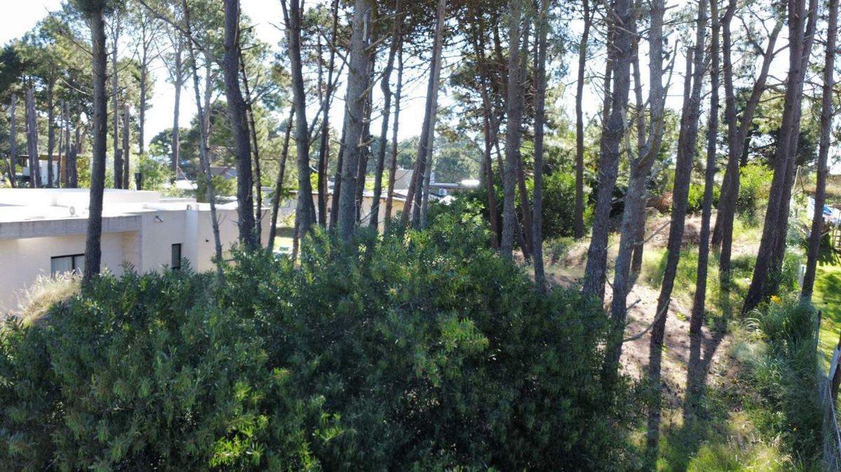 Foto de LOTE EN VENTA PINAMAR BARRIO NAYADES EN ALTURA, imagen 2