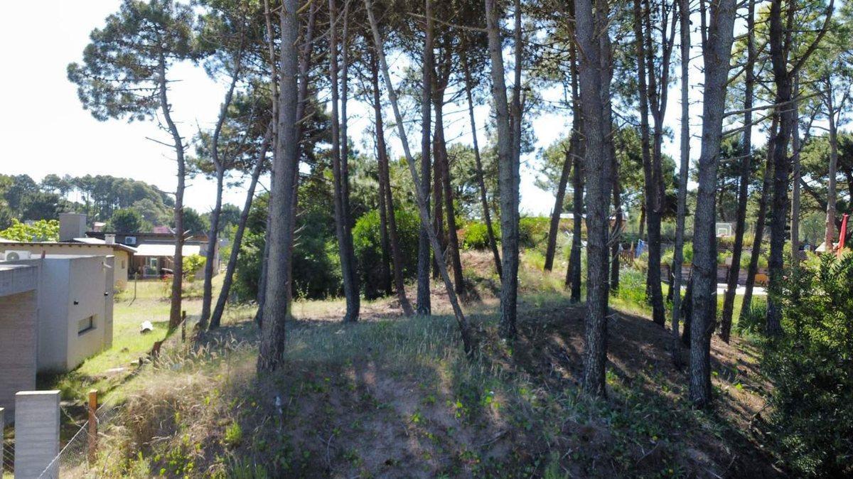 Foto de LOTE EN VENTA PINAMAR BARRIO NAYADES EN ALTURA, imagen 3