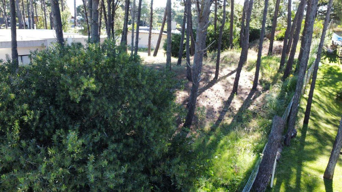 Foto de LOTE EN VENTA PINAMAR BARRIO NAYADES EN ALTURA, imagen 4