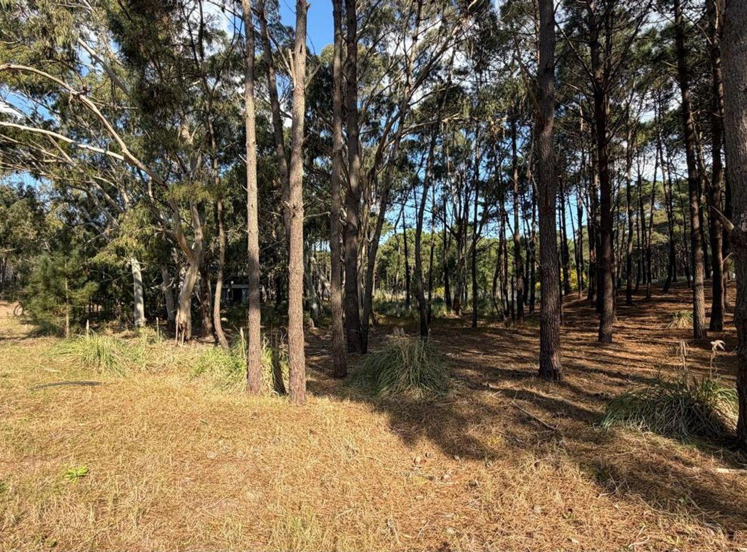 Foto de Venta lote Villa Robles con cercania al mar, imagen 5