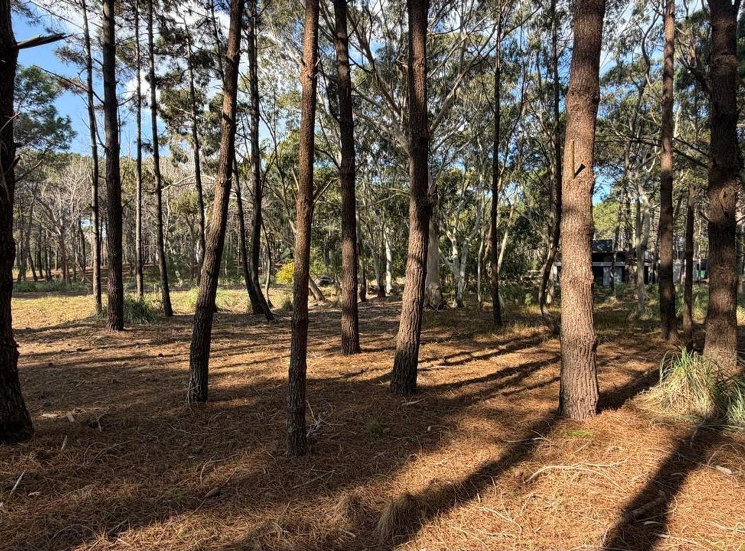 Foto de Venta lote Villa Robles con cercania al mar, imagen 3