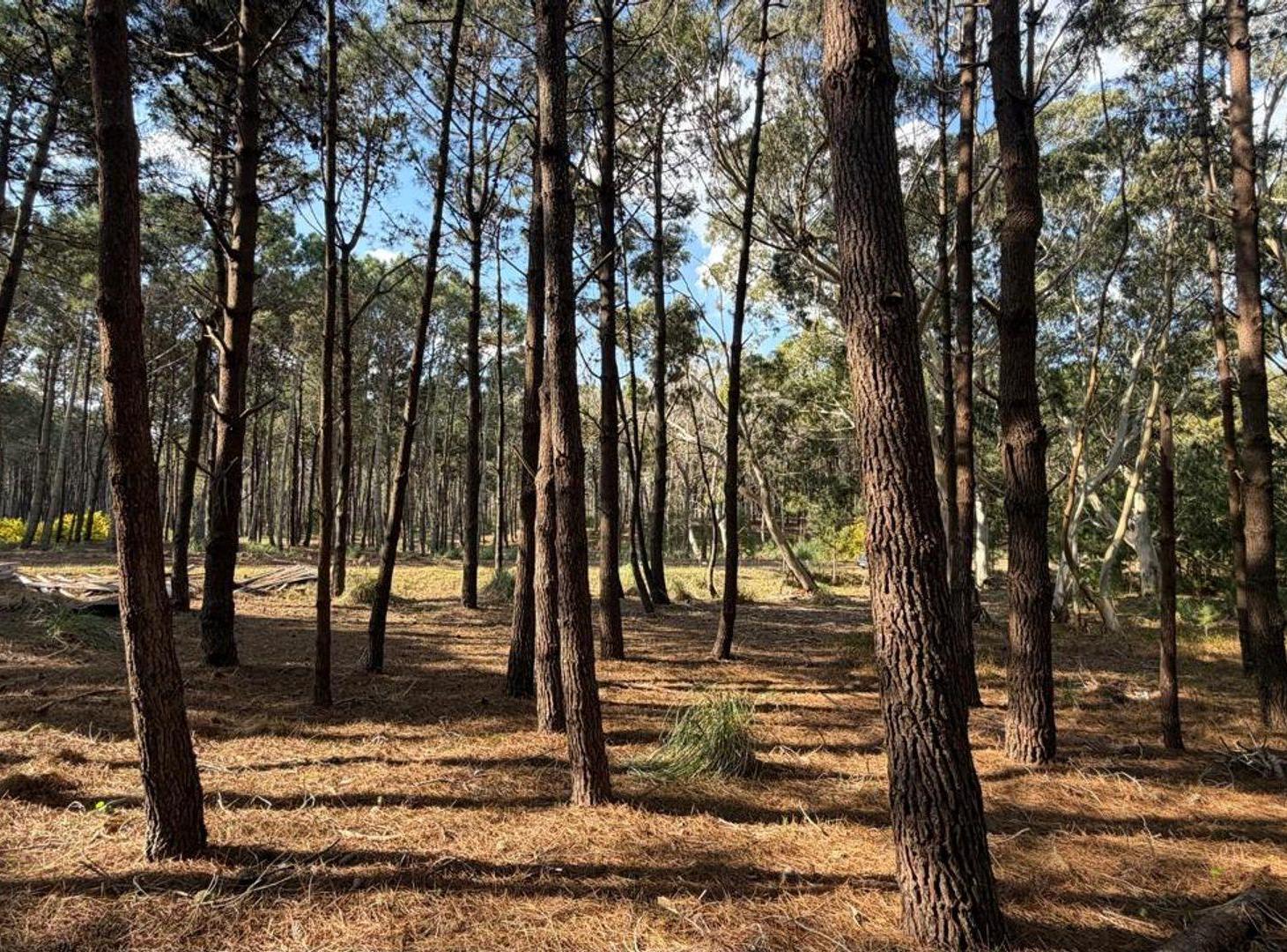 Foto de Venta lote Villa Robles con cercania al mar, imagen 4