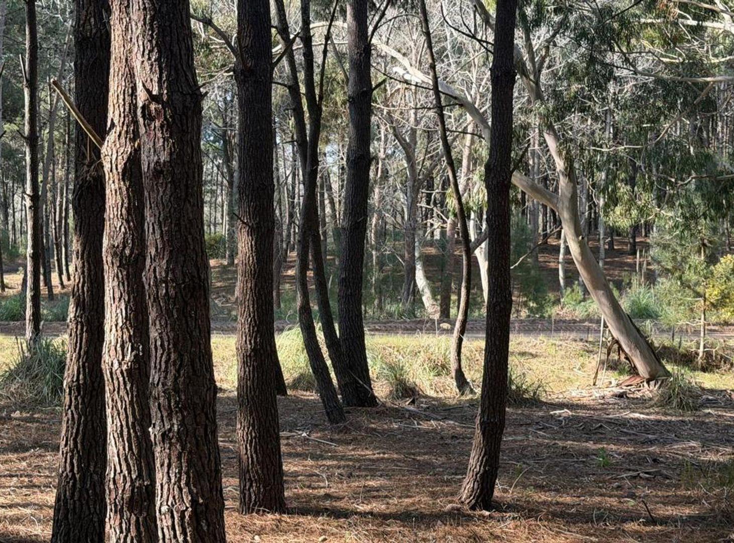 Foto de Venta lote Villa Robles con cercania al mar, imagen 2