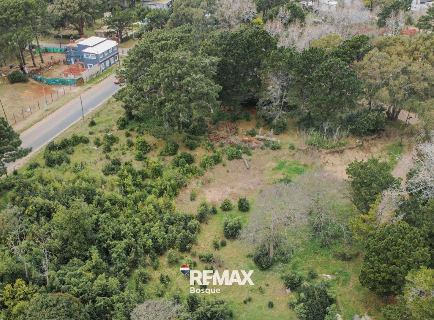 Foto de VENTA DE LOTE EN SANTA TERESITA, imagen 4
