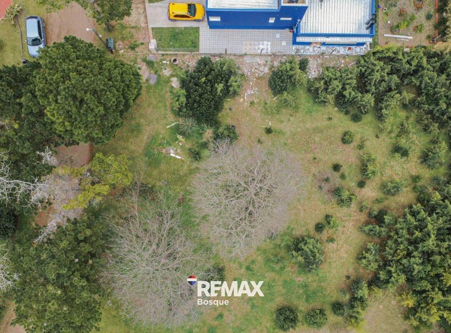 Foto de VENTA DE LOTE EN SANTA TERESITA, imagen 3