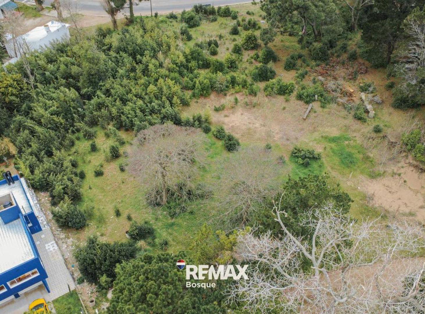 Foto de VENTA DE LOTE EN SANTA TERESITA, imagen 1