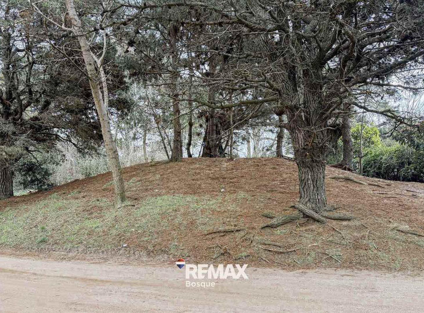 Foto de VENTA DE LOTE EN SANTA TERESITA, imagen 4