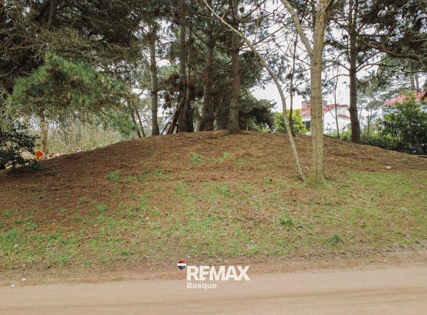 Foto de VENTA DE LOTE EN SANTA TERESITA, imagen 5