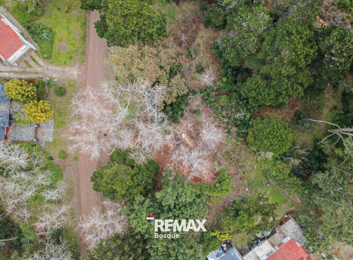 Foto de VENTA DE LOTE EN SANTA TERESITA, imagen 1