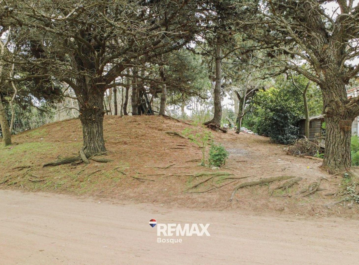 Foto de VENTA DE LOTE EN SANTA TERESITA, imagen 2