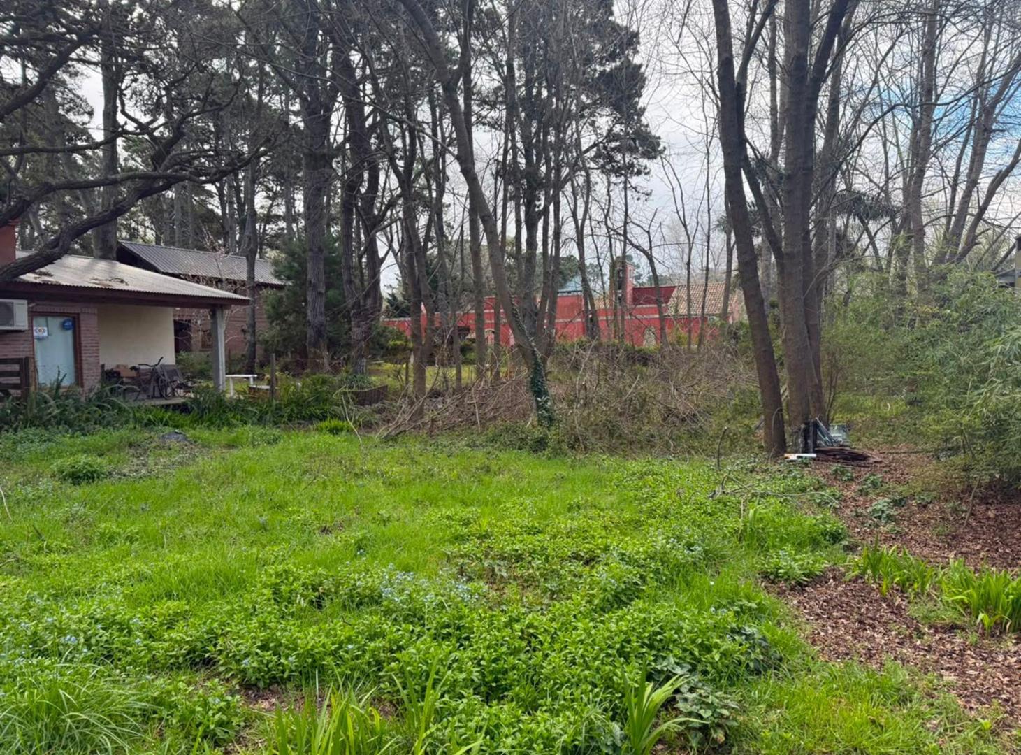 Foto de Venta lote 555mt2 Costa del Este La Costa, imagen 3