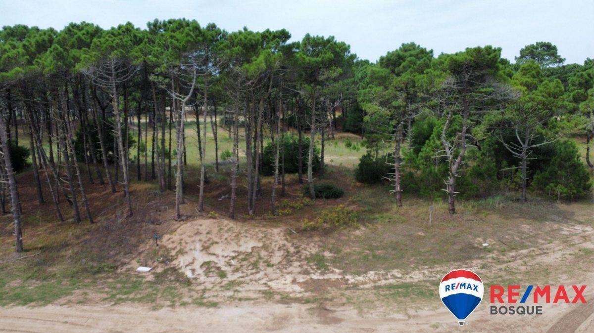 Foto de Venta Lote, Bosques Pinamar, imagen 1