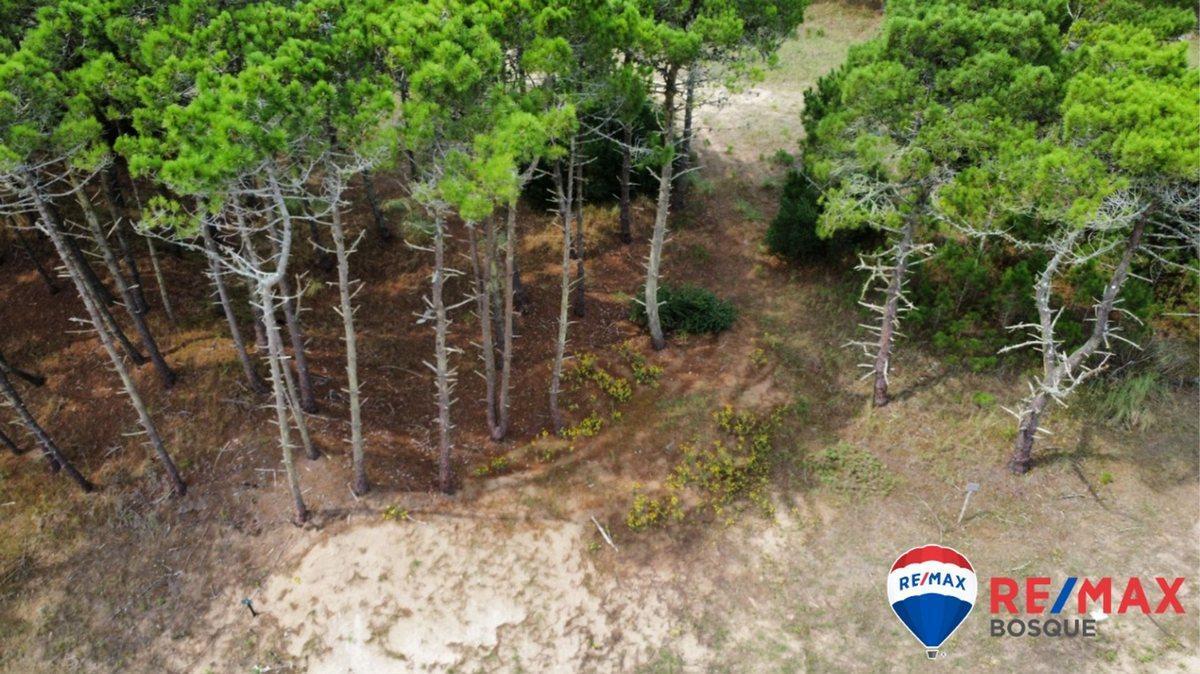 Foto de Venta Lote, Bosques Pinamar, imagen 3