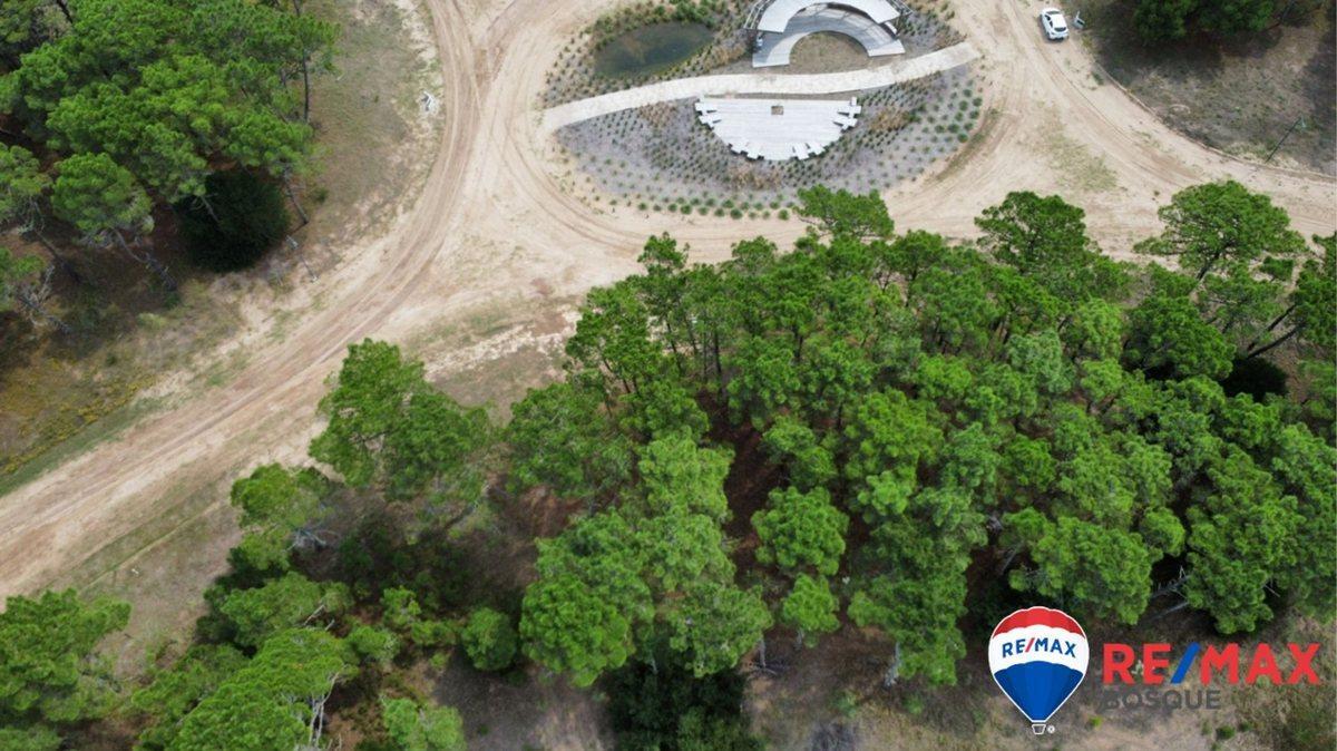 Foto de Venta Lote, Bosques Pinamar, imagen 2