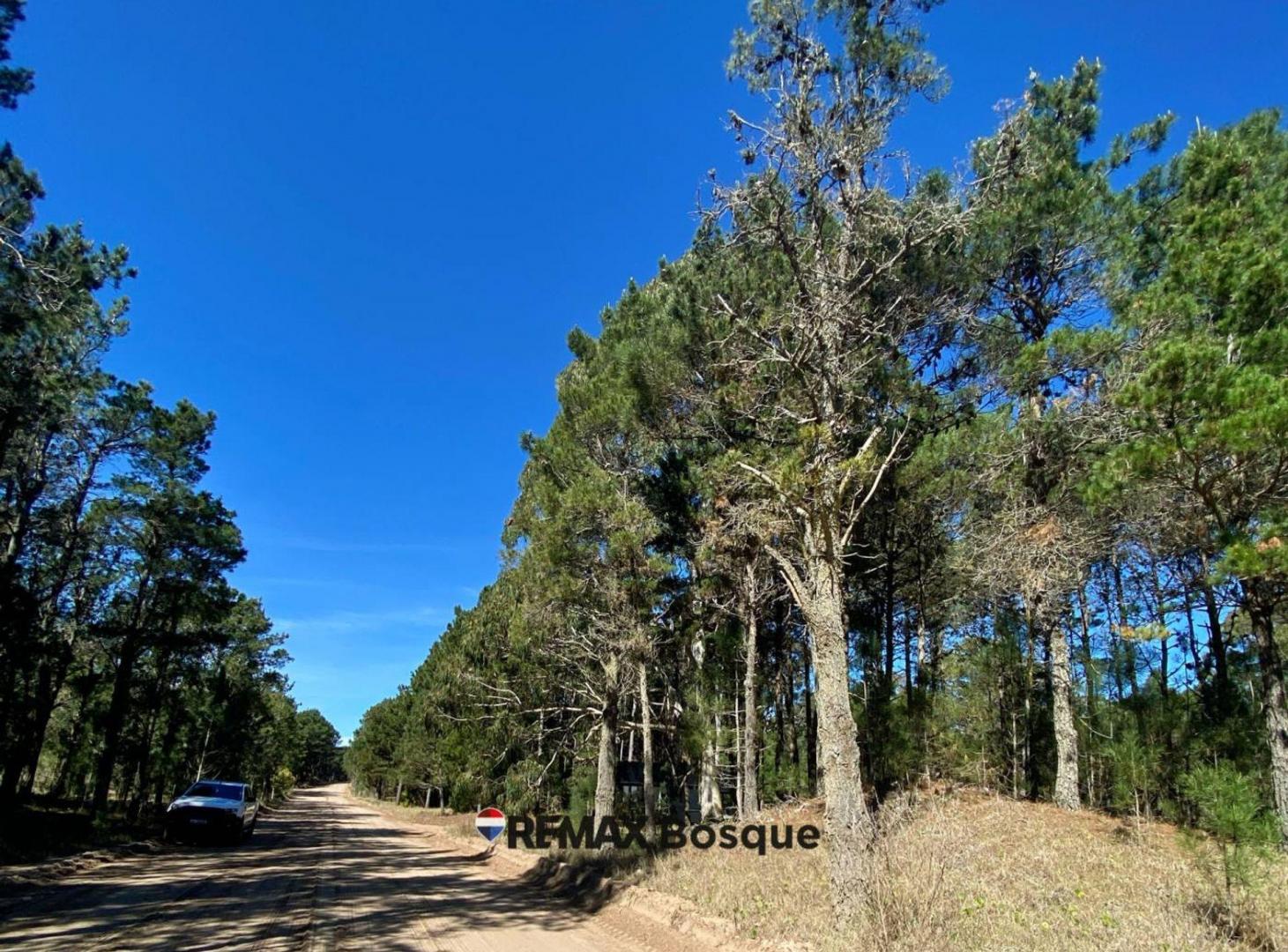 Foto de LOTE EN VENTA - VILLA ROBLES, BARRIO SERENA, imagen 5