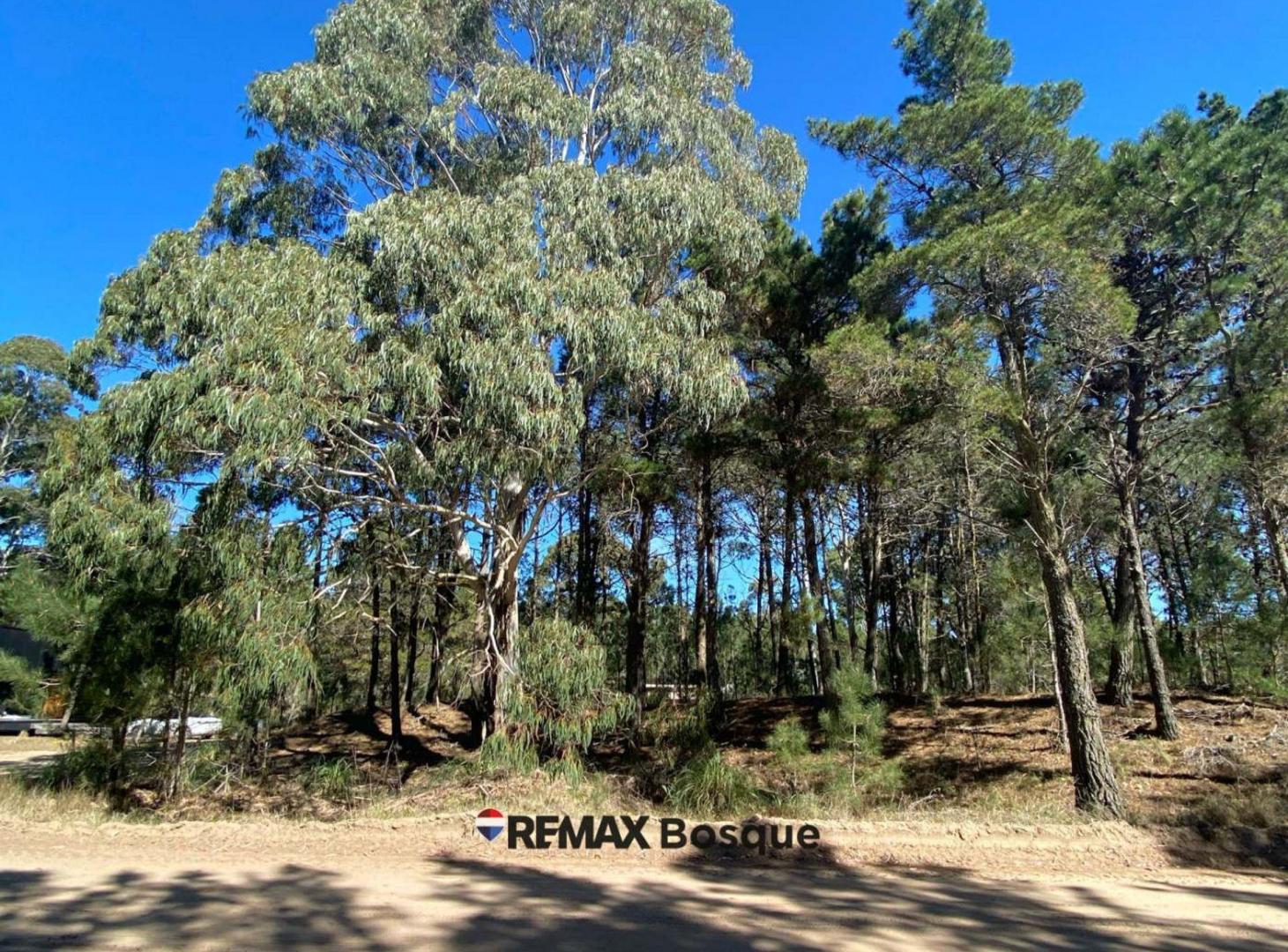 Foto de LOTE EN VENTA - VILLA ROBLES, BARRIO SERENA, imagen 4