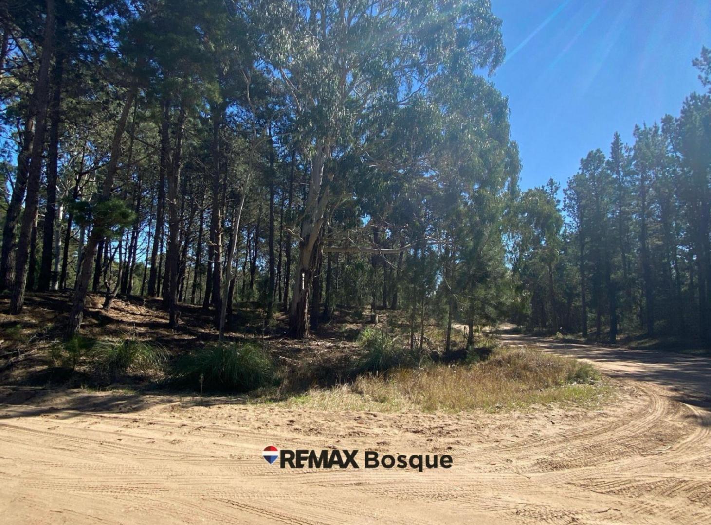 Foto de LOTE EN VENTA - VILLA ROBLES, BARRIO SERENA, imagen 1
