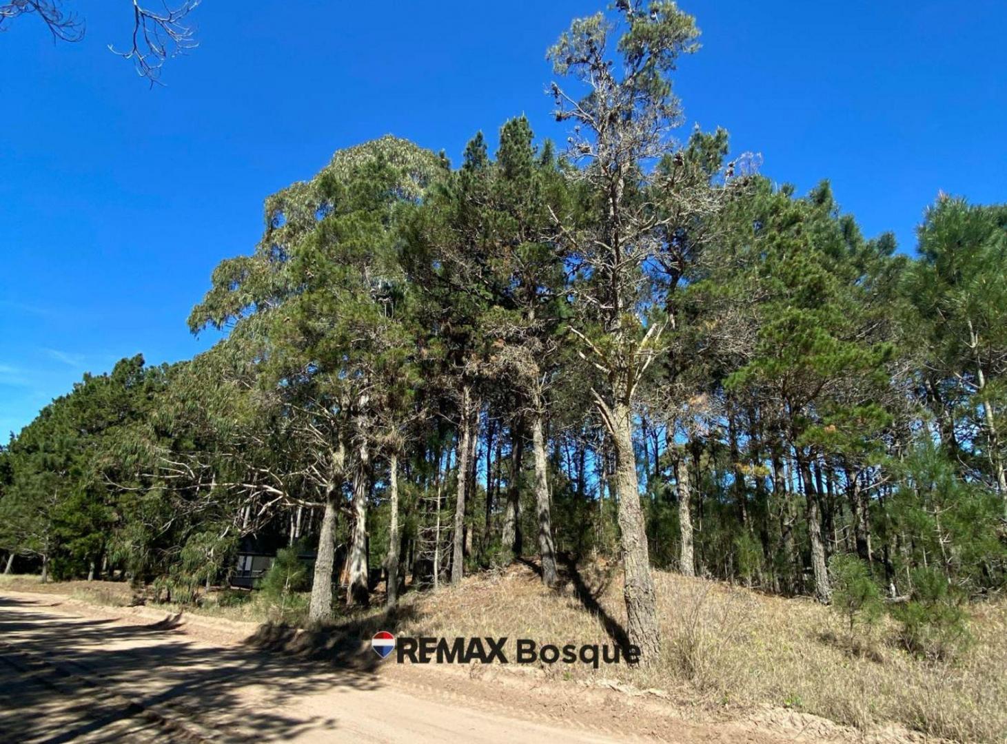 Foto de LOTE EN VENTA - VILLA ROBLES, BARRIO SERENA, imagen 3