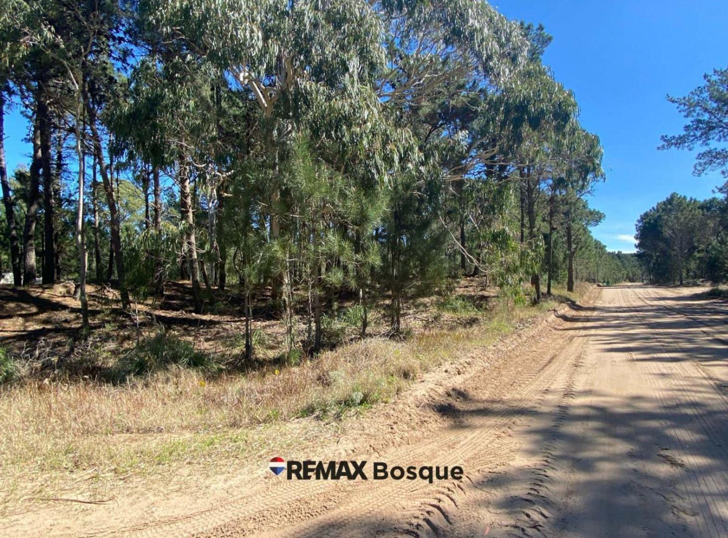 Foto de LOTE EN VENTA - VILLA ROBLES, BARRIO SERENA, imagen 2