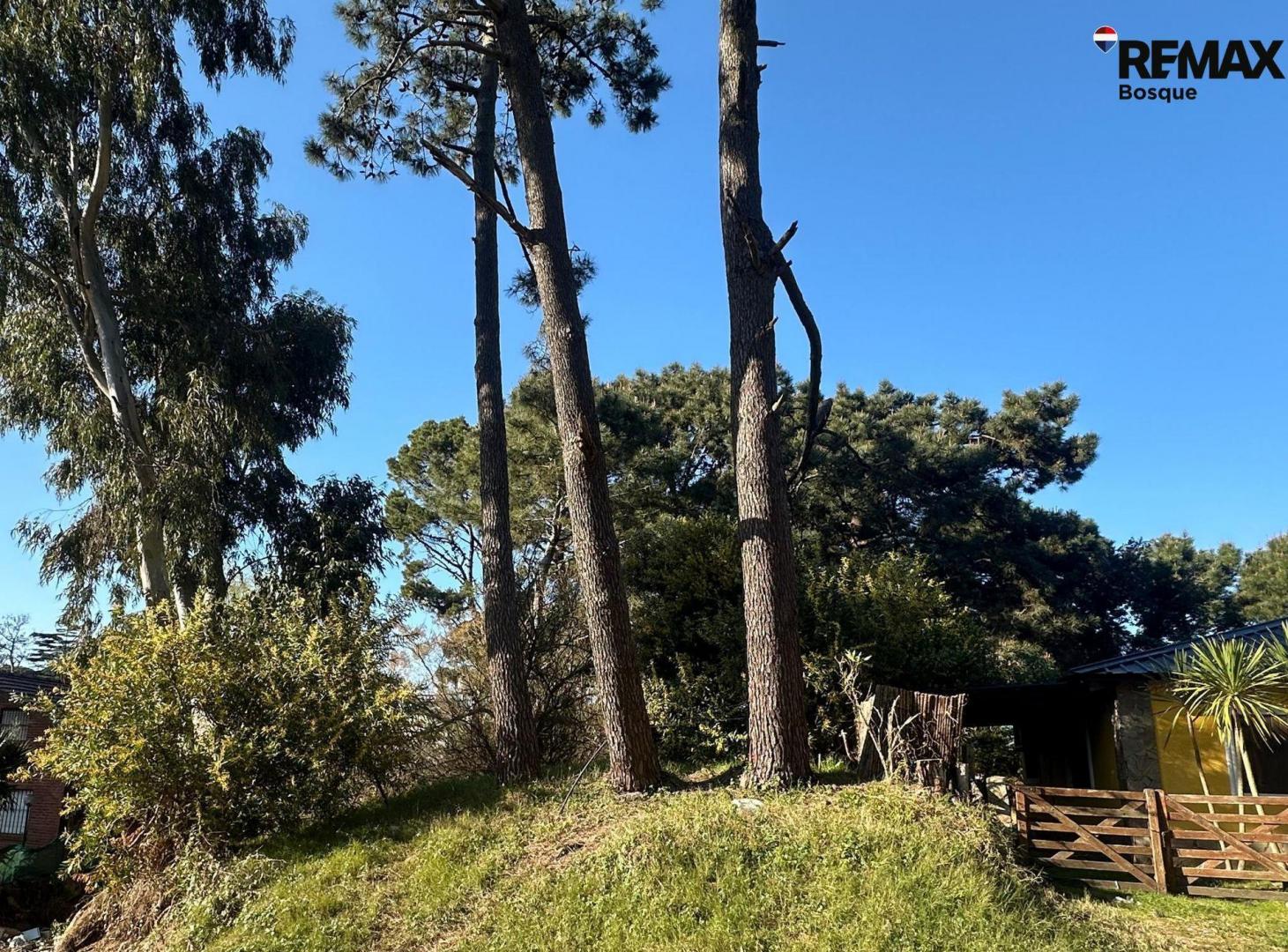 Foto de Lote en venta Ostende excelente ubicación, imagen 2