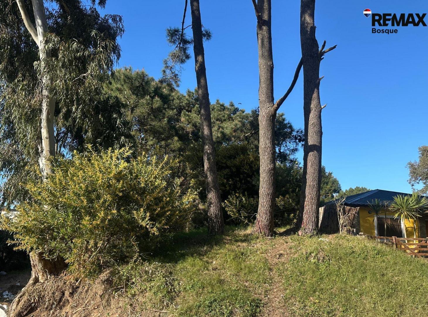 Foto de Lote en venta Ostende excelente ubicación, imagen 3