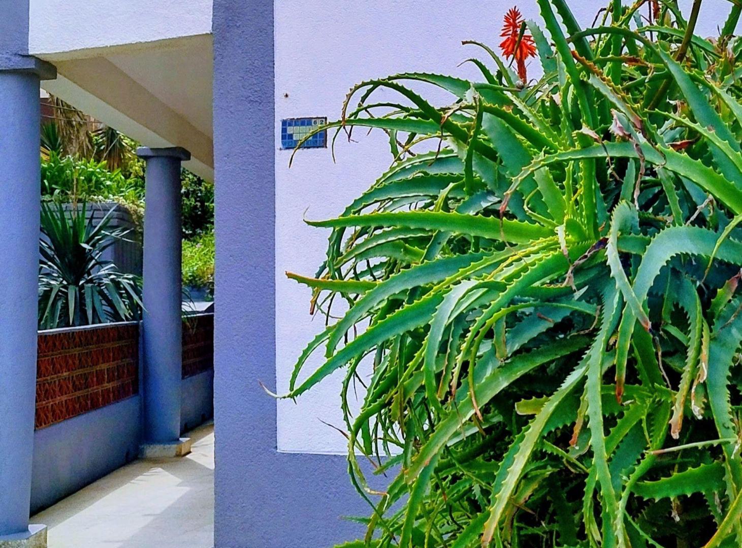 Foto de Departamento Venta Villa Gesell 2 amb a 30 mts mar, imagen 3