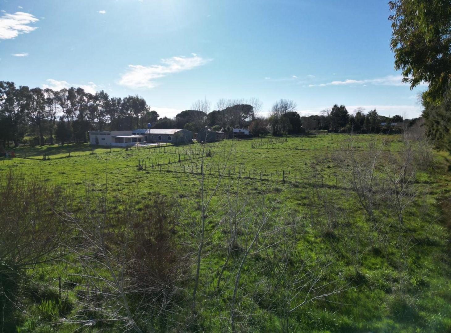 Foto de VENTA LOTE EN GENERAL MADARIAGA, imagen 5