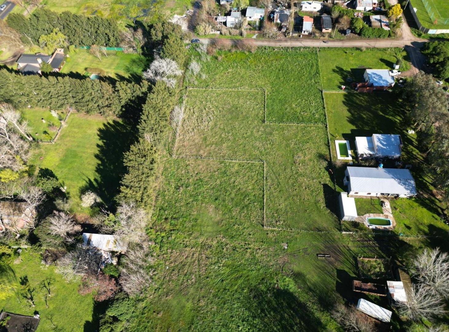 Foto de VENTA LOTE EN GENERAL MADARIAGA, imagen 4