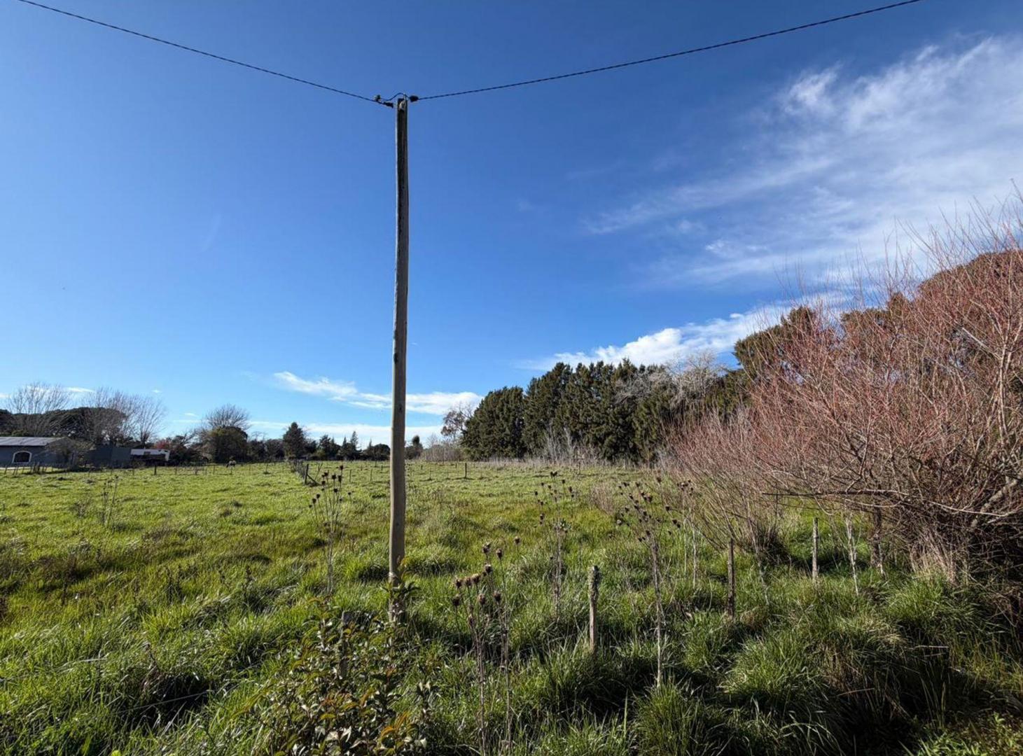 Foto de VENTA LOTE EN GENERAL MADARIAGA, imagen 2