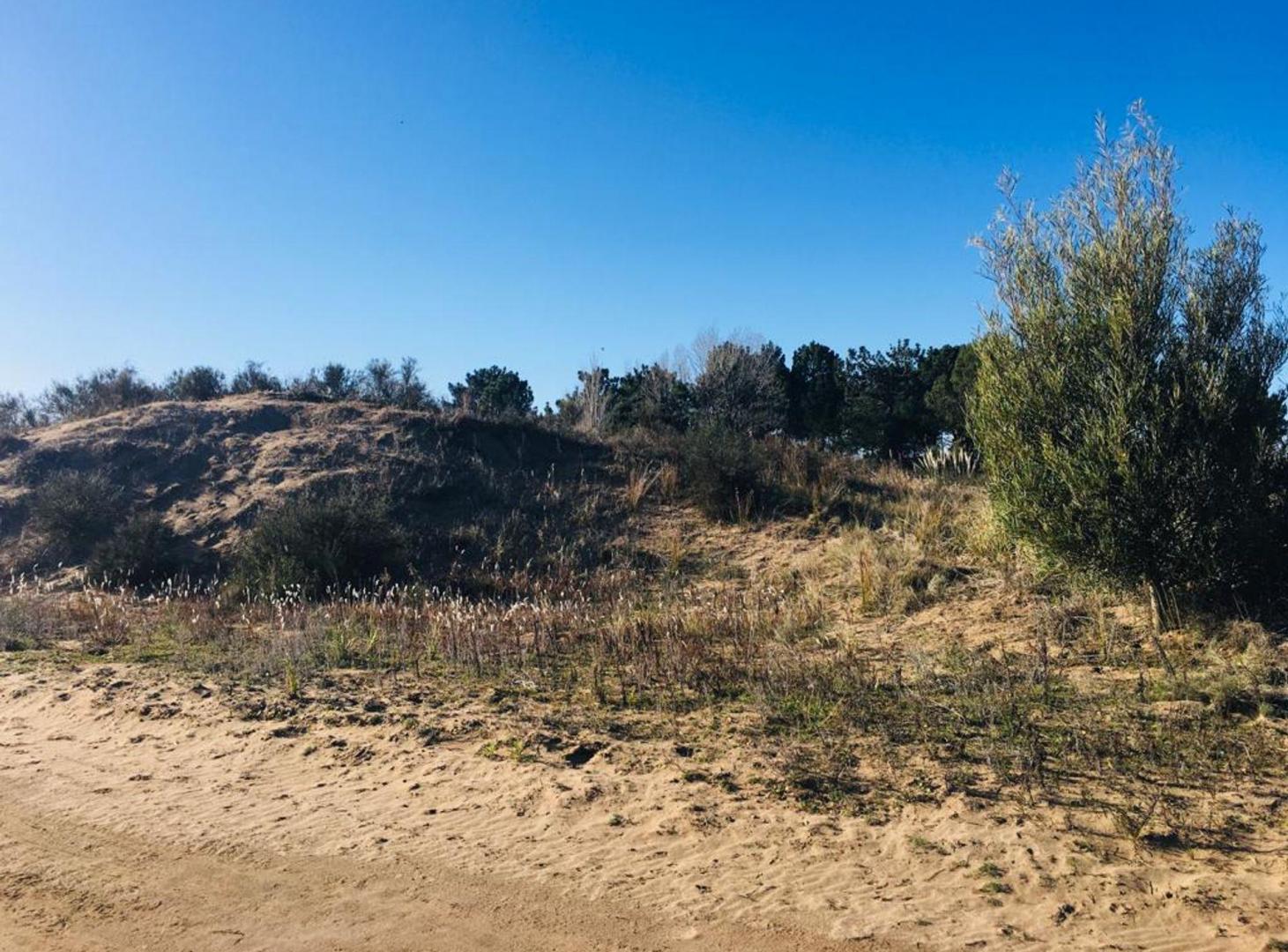 Foto de VENTA DE LOTE EN VILLA GESELL- BARRIO EL SALVAJE, imagen 5